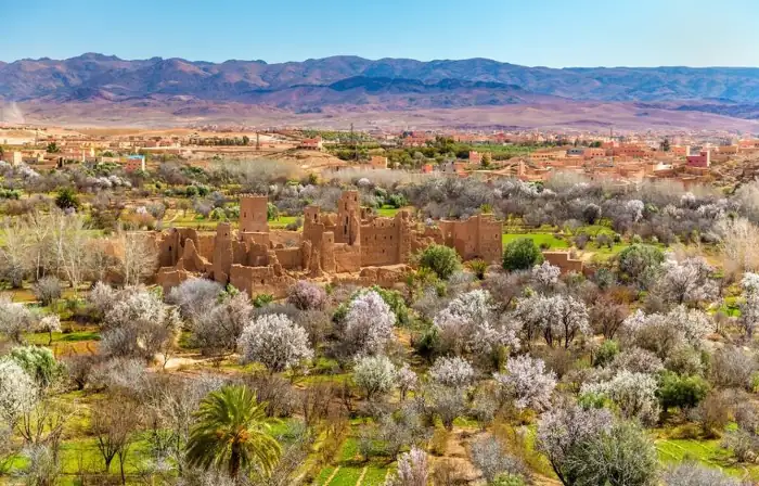Valley of Roses and Dades Valley landscape during Morocco luxury tour