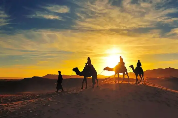 Zagora desert dunes with sunset camel trekking in Morocco Sahara